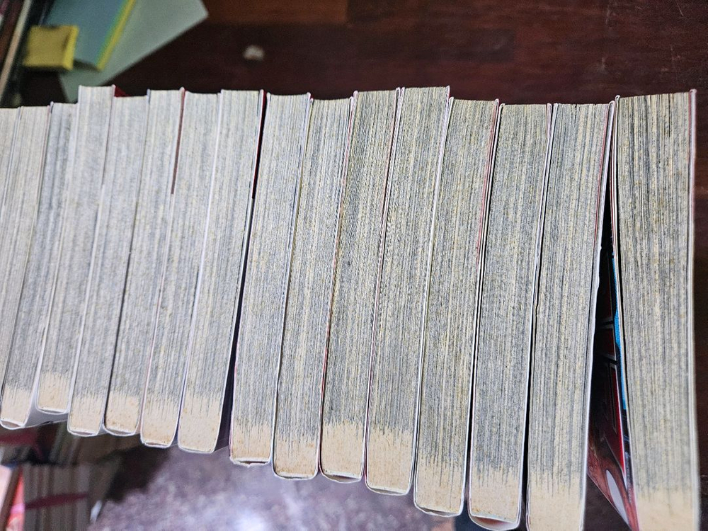 토리코 만화책 1-29 대여점x--2