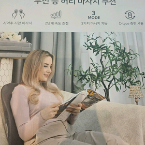 메디로 등허리 쿠션 마사지기