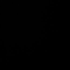 펫시뮬99 다이아 구매합니다 1b에 1500원으로 구해요 이미지