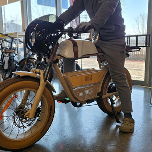 마이클블라스트 5.0 전기자전거[전동스쿠터]1000W