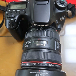 캐논70d 24-70 형아계륵 이미지