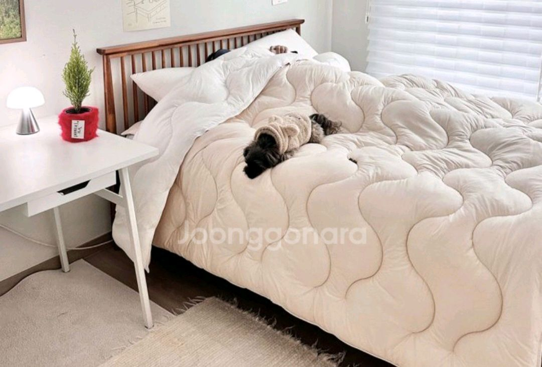 누잠 퀸사이즈 이불 프라임웜 발열이불--2