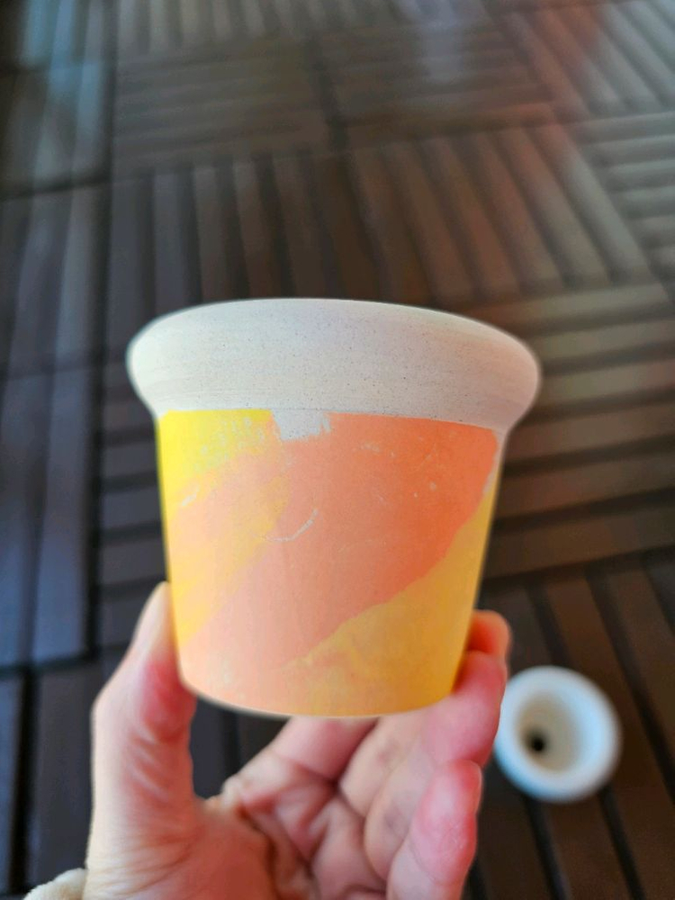 블리스볼 콩분--1