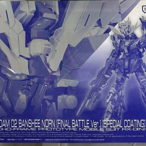 rg 밴시 스페셜코팅(스코)