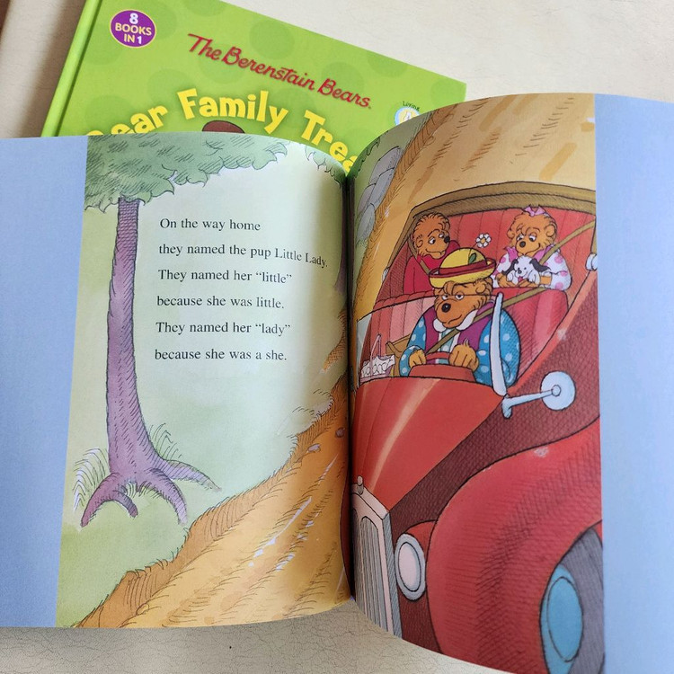 베렌스타인 베어즈,리틀크리터 스토리북 컬렉션--5
