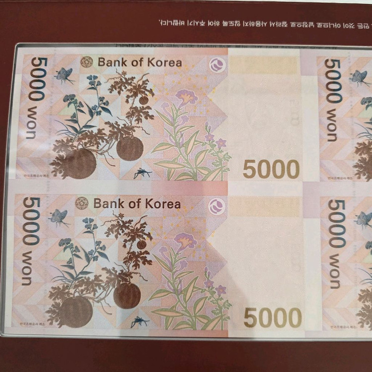 연결형은행권 오천원권 4면부 설날선물 연결지폐수집 전지형 희귀화폐수집 이미지