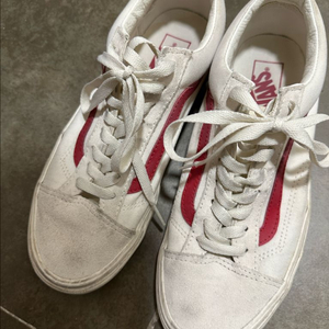 반스 스타일36 레드 260