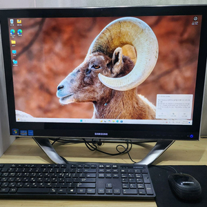 삼성 올인원 PC 24인치