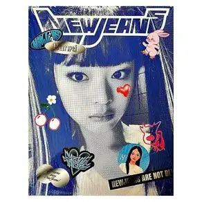 뉴진스 하니 블루북