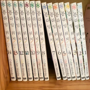 플라잉 위치 1-14