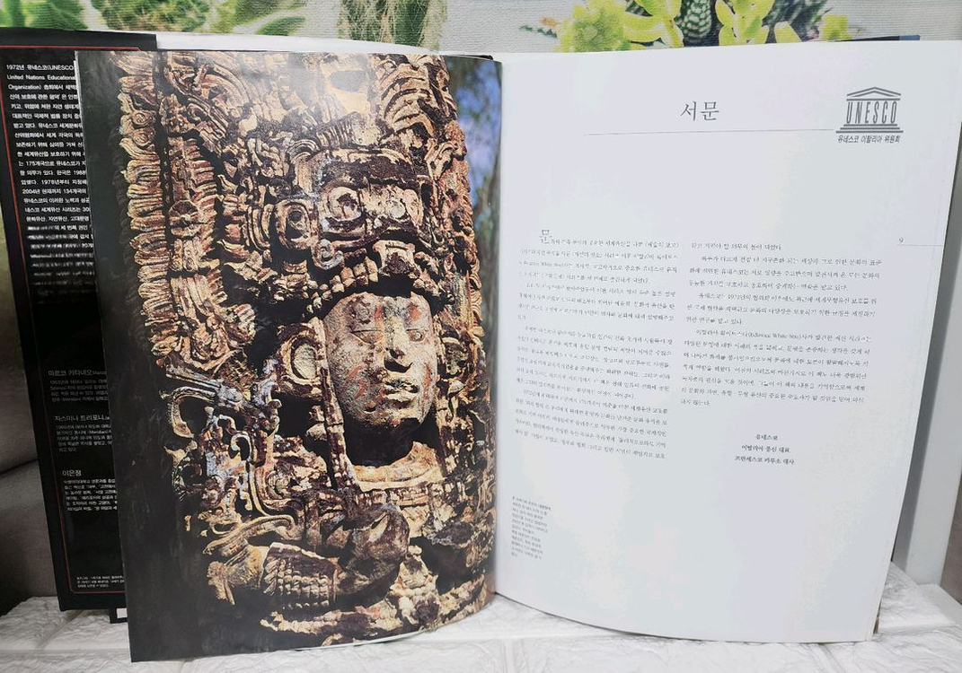 유네스코 세계고대문명--3
