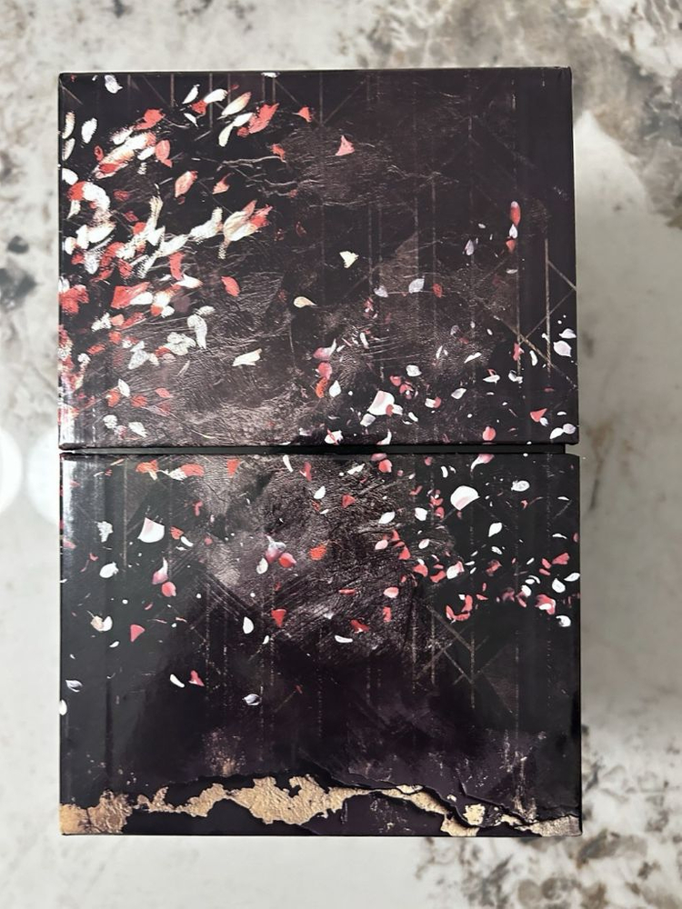 PS5 클레르 옵스퀴르 33 모노리스 세트 한정판 미개봉 새제품.--5