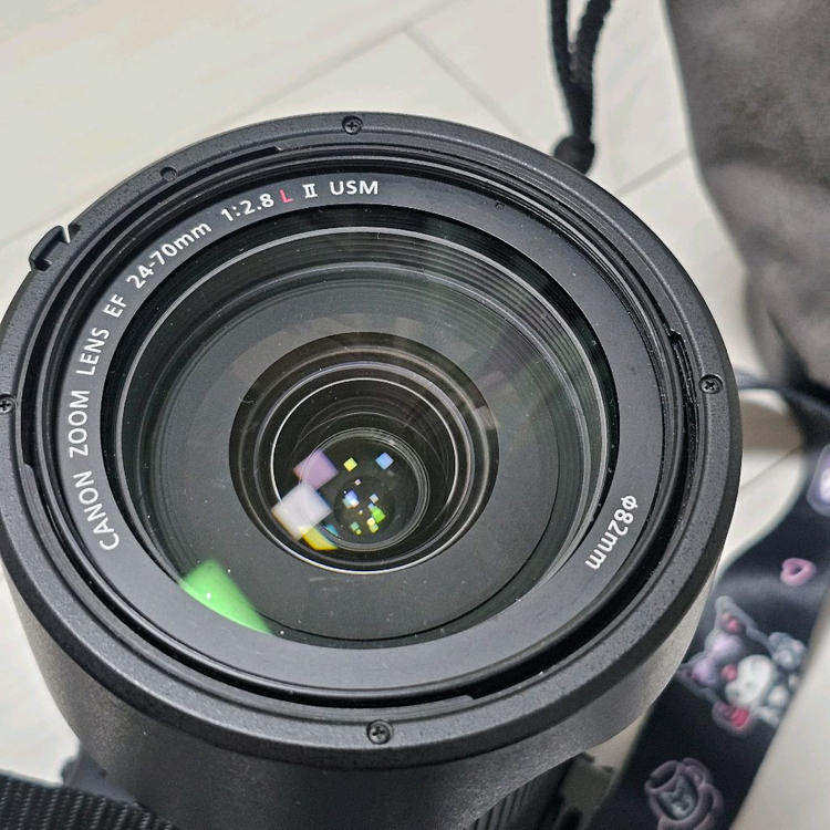 캐논 EOS 6D Mark2 카메라+신계륵+새아빠+사무방 풀박--1