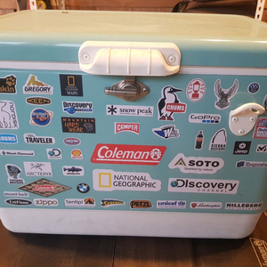 콜맨 아이스박스 54쿼터