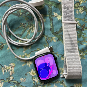 애플워치8스테인리스 45mm SS급