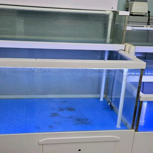 업소용 수족관 팝니다 이미지