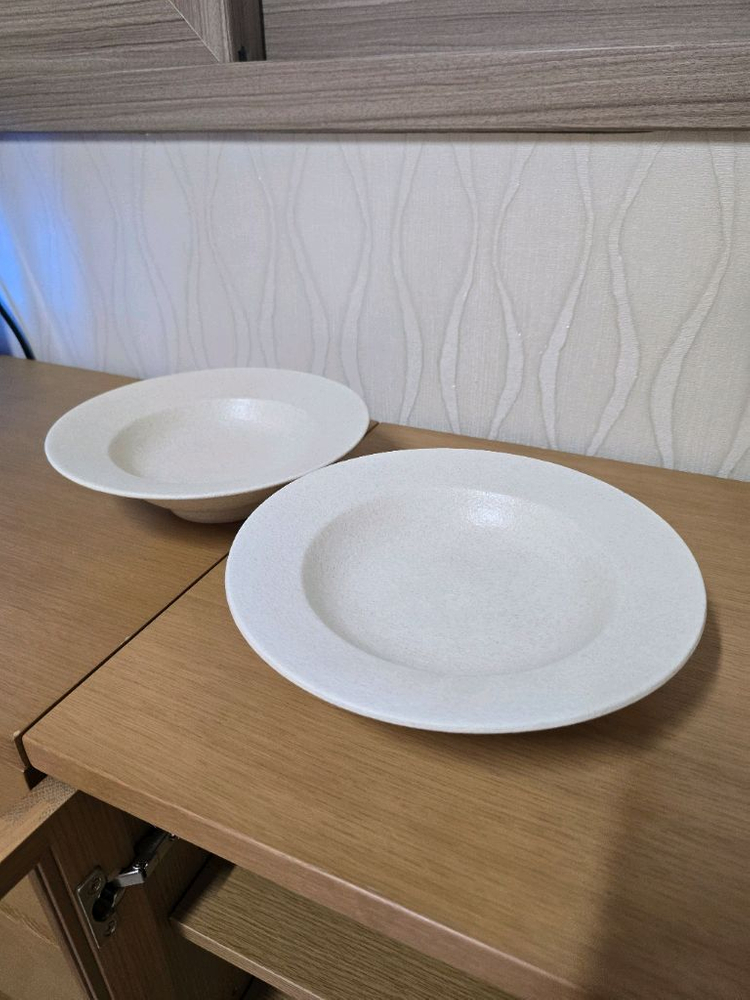 워터소일템프 파스타접시2장--1