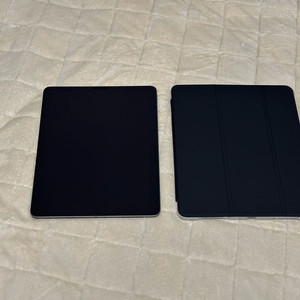 (애플펜슬 2세대 포함) 아이패드 프로 12.9 3세대 256기가 (상태 최상)