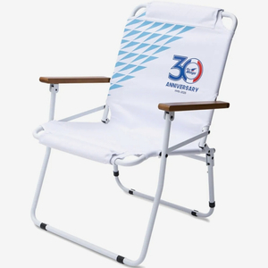 수원삼성 블루윙즈 30주년 한정판 무신사 피크닉 체어