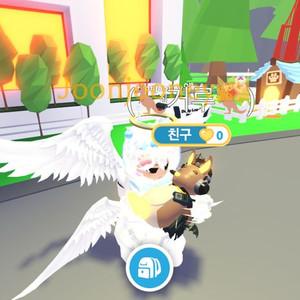 입양하세요 네온 캥거루 팝니다 이미지