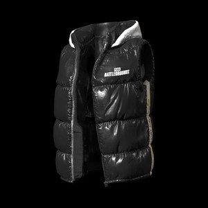 배그스킨 나이트 스토커 조끼 팝니다