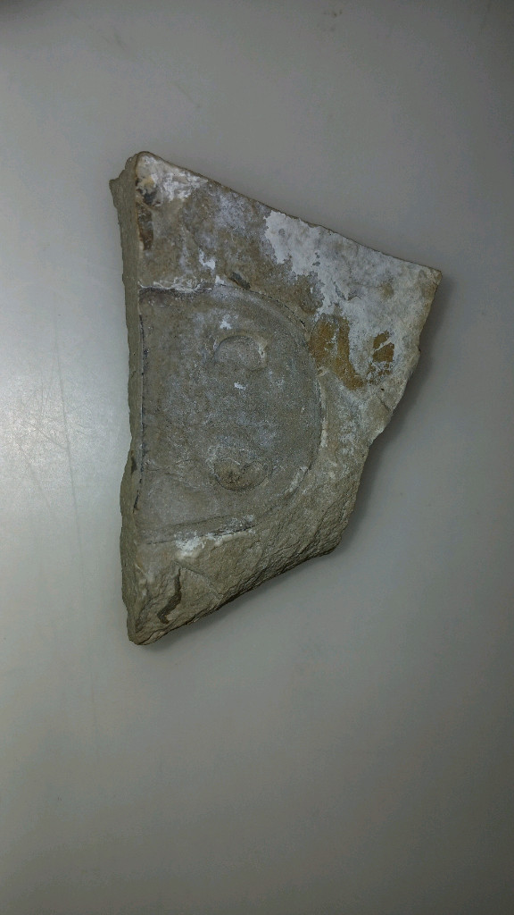 바다전갈 두개골화석--1