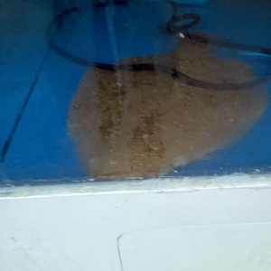 플레이스테이션 4 외장하드 게임 1tb포함 패드 2개 포함 이미지