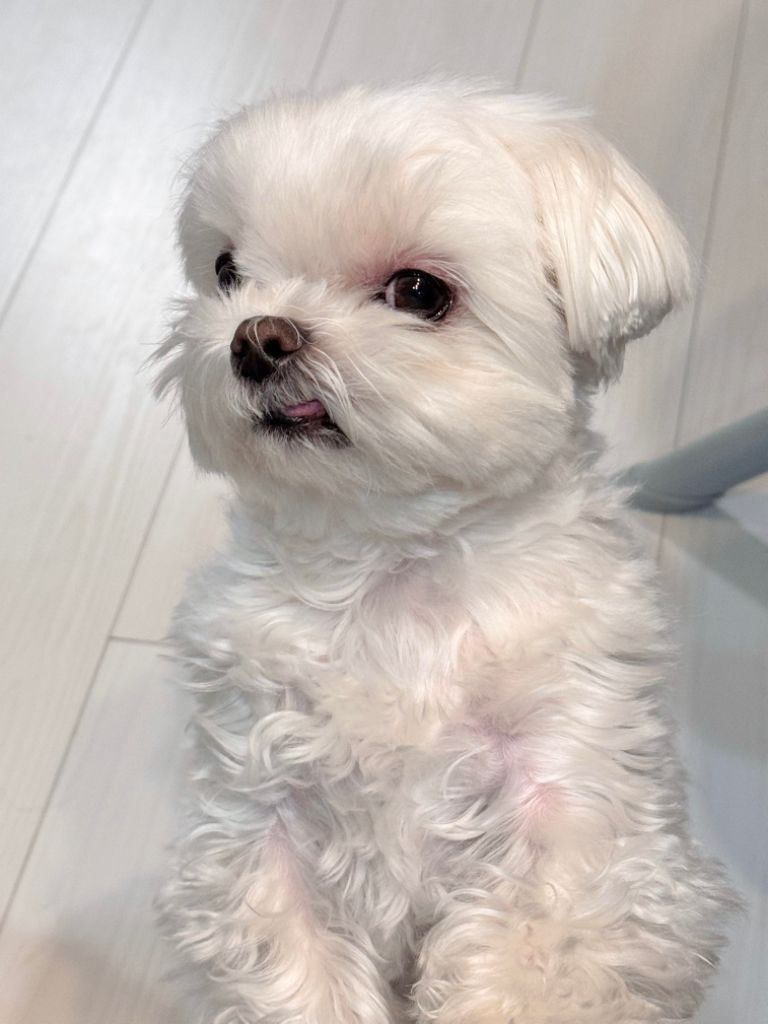 프로필 이미지