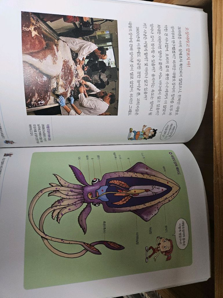 사이언싱톡톡 사이언스톡톡 과학 전집 40권 세트--2