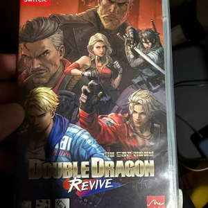 닌텐도 스위치 더블드래곤 리바이브