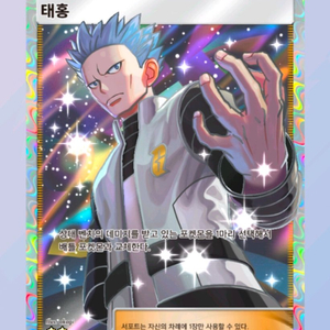 포켓몬카드게임 2성 [태홍]