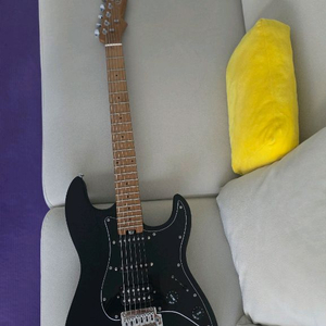 헥스 e300 hex e300 일렉기타