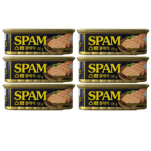 스팸 클래식 120g.6개