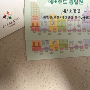 에버랜드 종일권2매