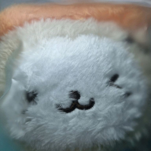 엔시티 위시 버블냥 단순개봉 이미지