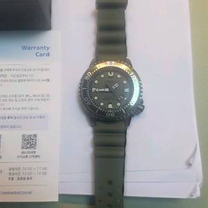 시티즌 프로마스터 시계