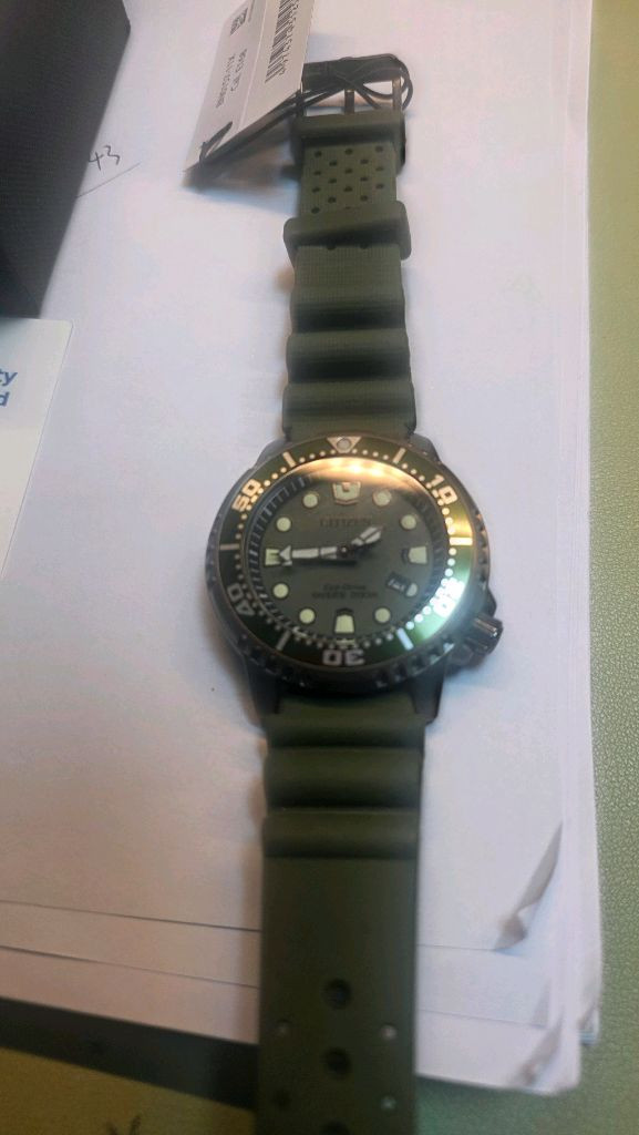 시티즌 프로마스터 시계--2