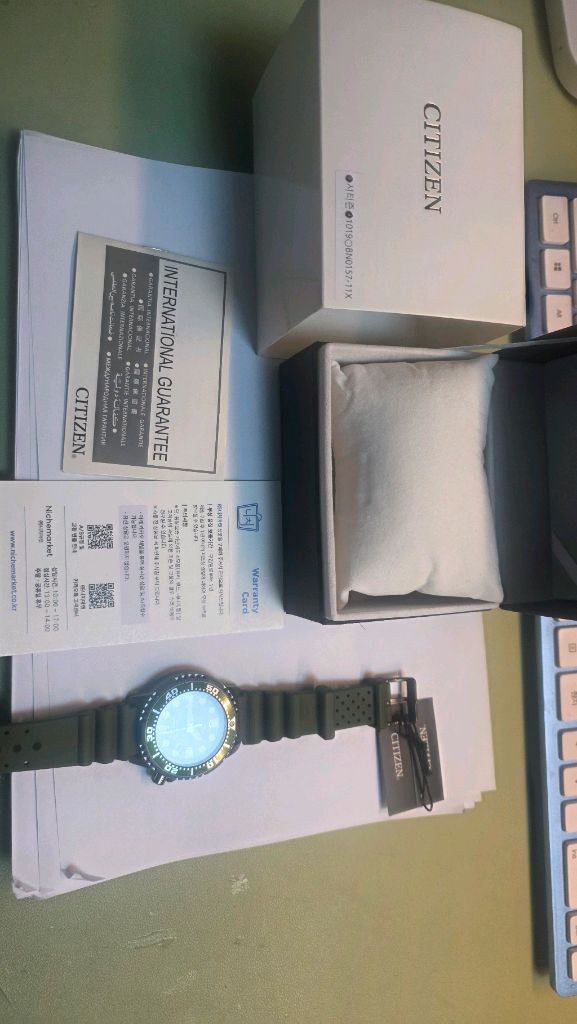 시티즌 프로마스터 시계--3