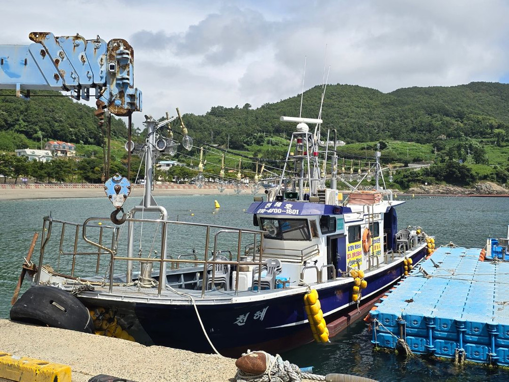 경남 6.67톤 연안복합허가 낚시어선 판매합니다. 이미지
