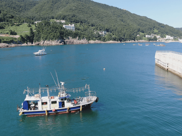 경남 6.67톤 연안복합허가 낚시어선 판매합니다. 이미지