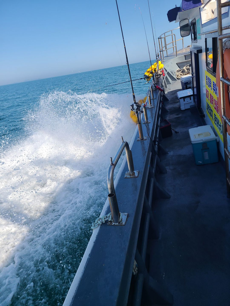 경남 6.67톤 연안복합허가 낚시어선 판매합니다. 이미지