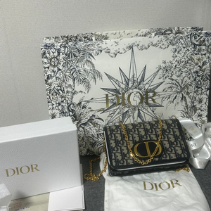 디올 오블리크 몽테인30 투인원 숄더백