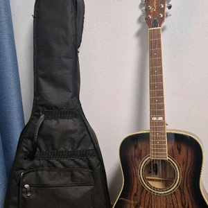 Rain 어쿠스틱 기타 판매합니다