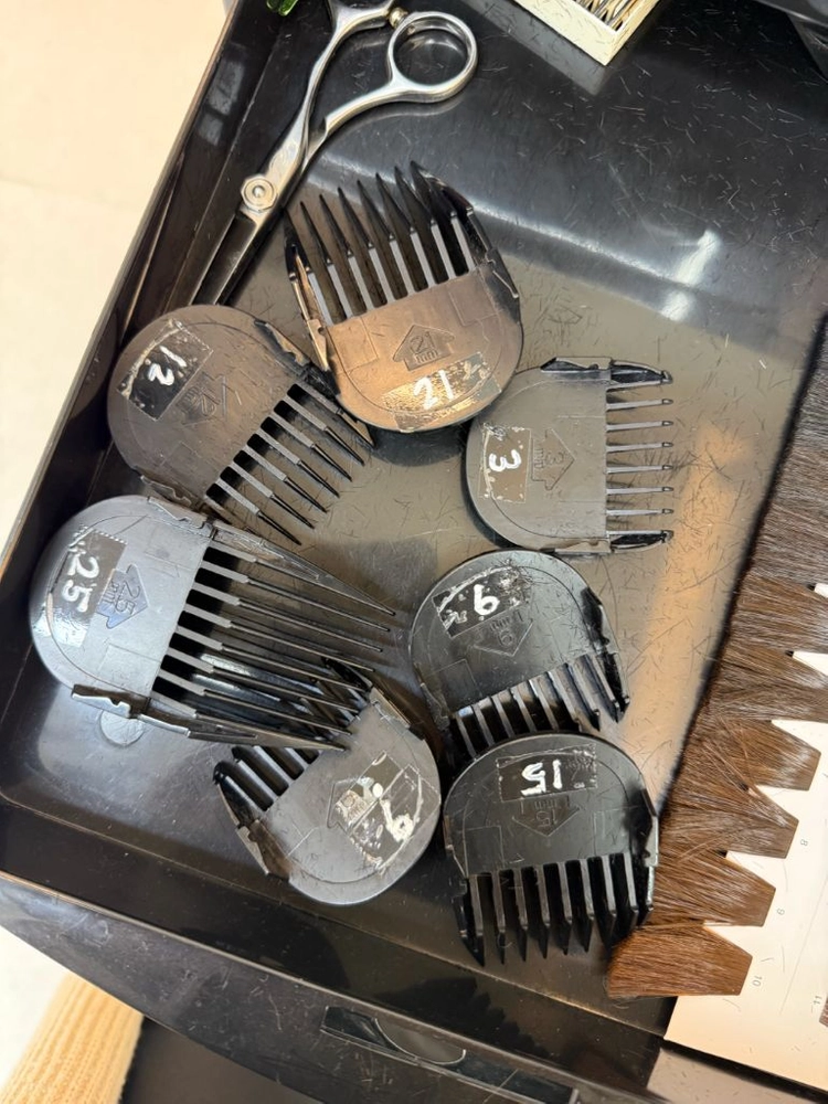 아지아 프로V 바리깡 이미지
