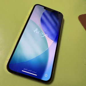 아이폰13프로 1테라