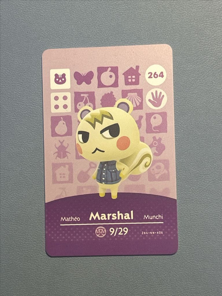 쭈니 동물의 숲 호환 아미보 이미지