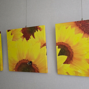 해바라기 3단 액자