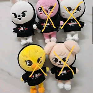 스트레이키즈 스키주 미니 이미지