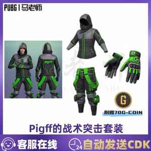 배그 스킨 코드 pigff 세트 이미지