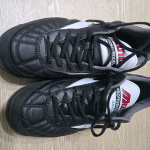 모렐리아 살라 재팬 260